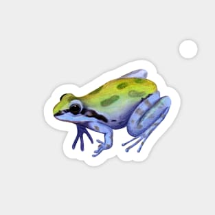 Pacific Tree Frog :: Reptiles and Amphibians Sticker